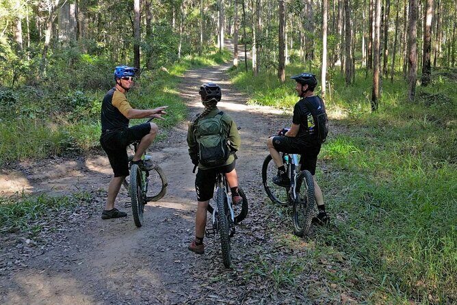 Scenic eBike of the Noosa Biosphere Trail Network - An Overview of the Noosa Biosphere Trail Experience