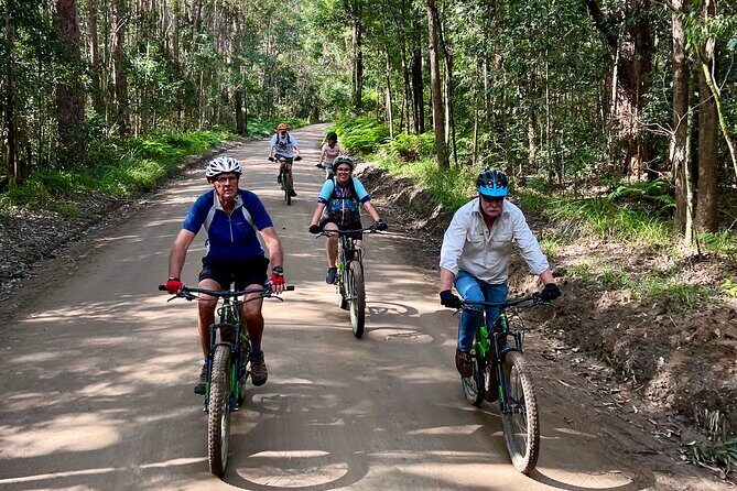 Scenic eBike of the Noosa Biosphere Trail Network - Customer Feedback and Authentic Insights