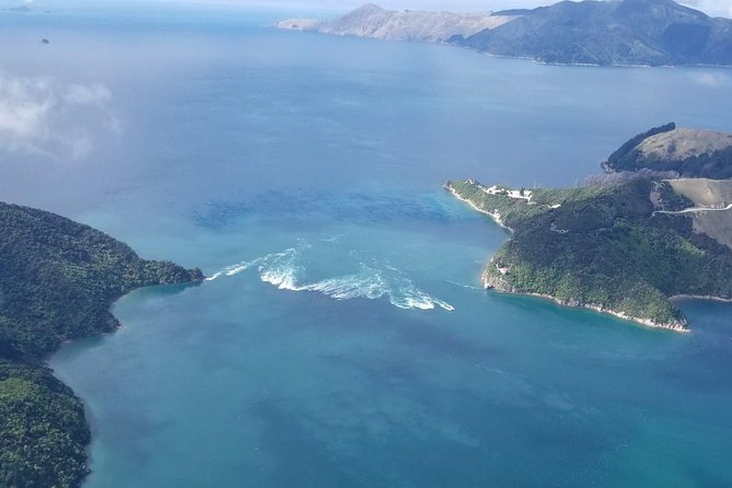 Scenic Flight - Experience Our Water and Wilderness Scenic Tour - Scenic Flight Highlights