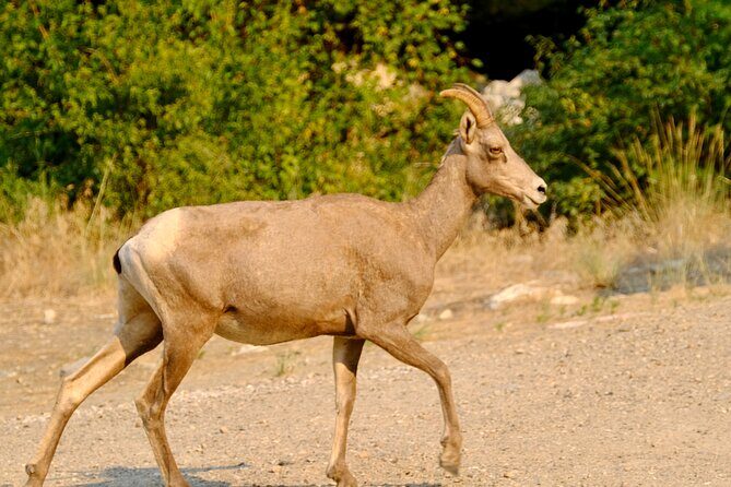 Scenic Float on the Salmon River - Half Day - Exploring the Salmon River Scenic Float