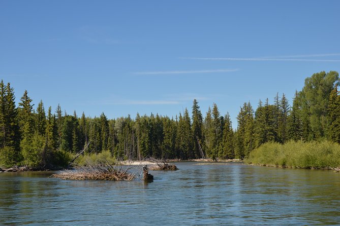 Scenic Float Trip in Grand Teton National Park Jackson Hole - Accessibility and Age Restrictions