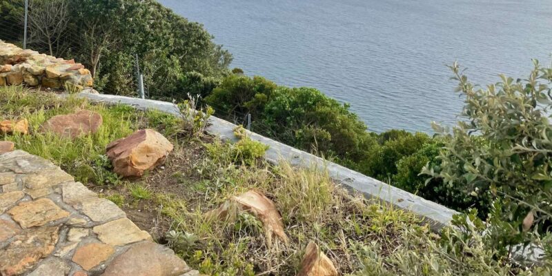 Scenic Full Cape Peninsula Tour - Included in the Tour