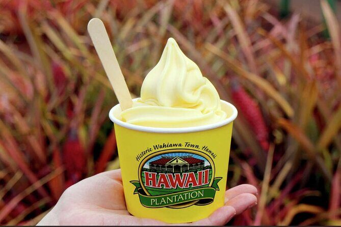 Scenic full day circle island tour-snorkeling/breakfast included - Wrapping It Up