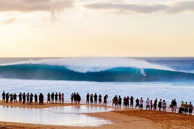 Scenic Half Day North Shore Tour Turtle Bay pickup only - Exploring the North Shore of Oahu: An Insightful Tour Review