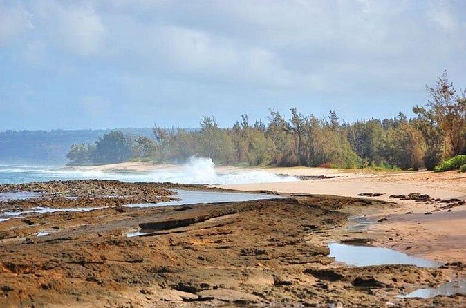 Scenic Half Day North Shore Tour Turtle Bay pickup only - Who Should Consider This Tour?