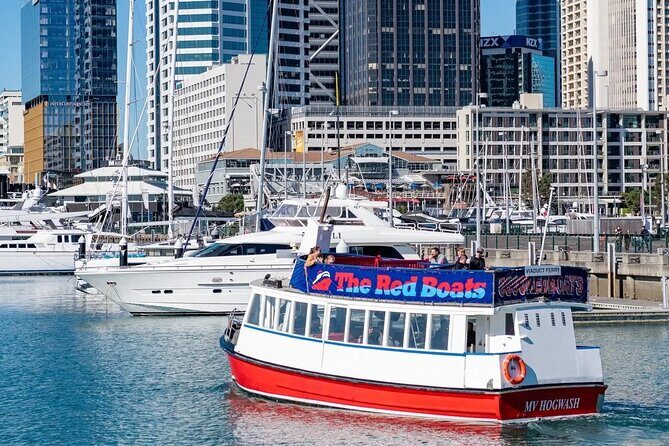 Scenic Harbour Cruise in Auckland - Exploring Auckland from the Water: A Detailed Look at the Scenic Harbour Cruise