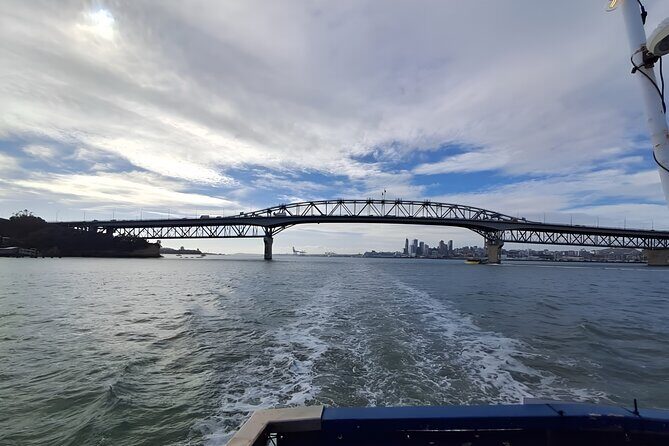 Scenic Harbour Cruise in Auckland - Detailed Breakdown of the Tour Experience