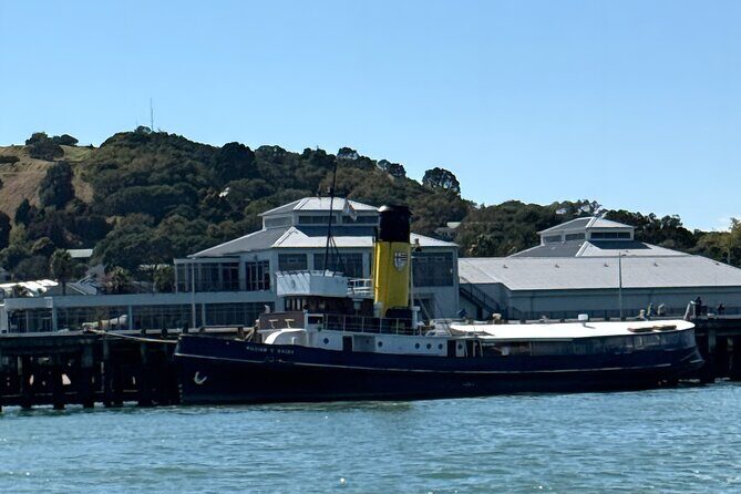 Scenic Harbour Cruise in Auckland - Evaluating the Value
