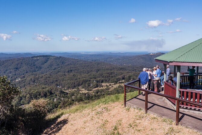 Scenic Hinterland Guided Day Tour Inc Lunch, Tastings From Noosa - Key Points