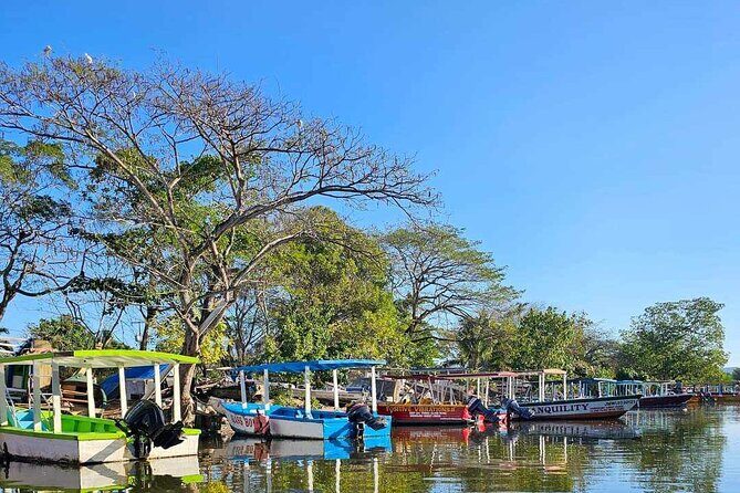 Scenic & Historical Nature Boat Safari Up the Negril River - The Experience of the Wildlife and Scenery