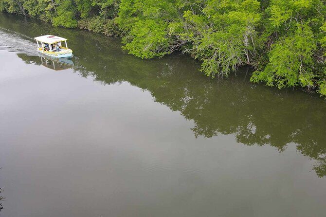 Scenic & Historical Nature Boat Safari Up the Negril River - Group Size, Timing, and Logistics