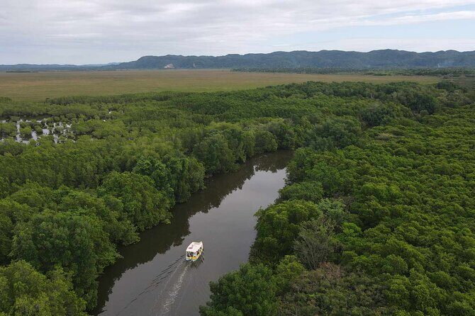 Scenic & Historical Nature Boat Safari Up the Negril River - Price, Value, and Overall Impression