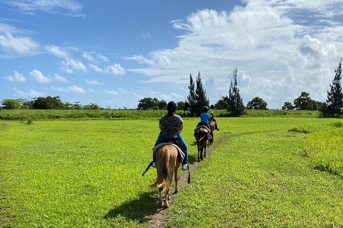 Scenic Horseback Riding Tour from San Juan - The Scenic Trail Ride
