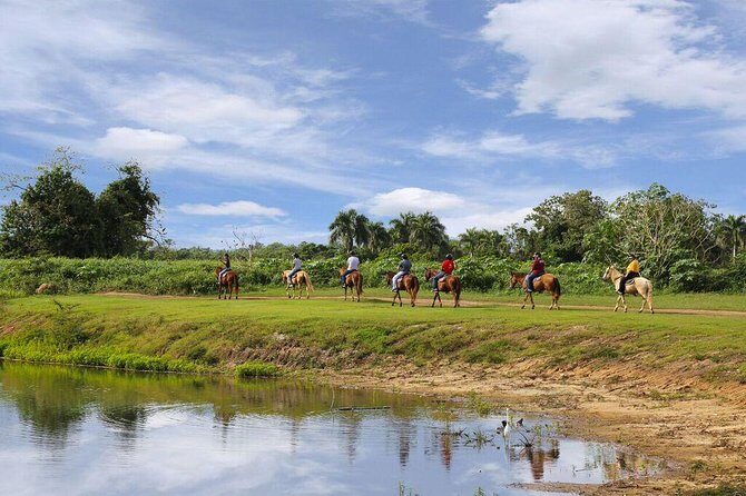 Scenic Horseback Riding Tour from San Juan - The Return and Post-Ride Experience
