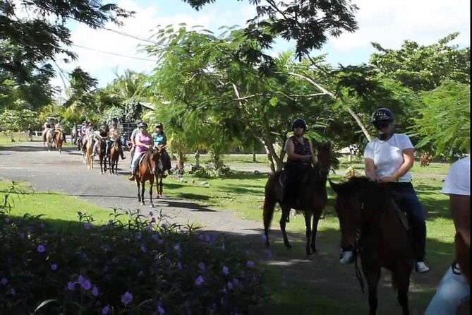 Scenic Horseback Riding Tour from San Juan - What’s Included and What’s Not