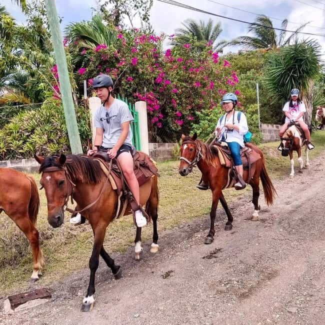 Scenic Horseback Trail - The Sum Up: Who Will Love This Tour?