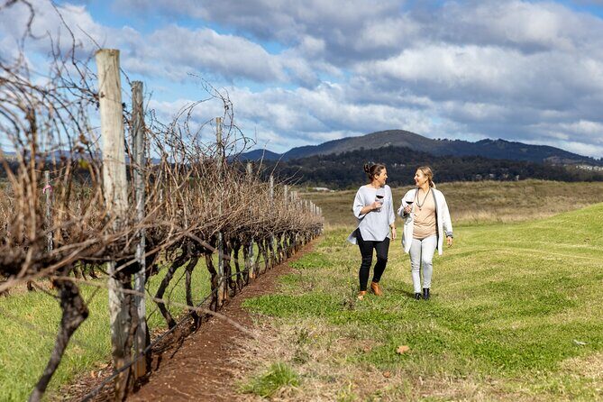 Scenic Hunter Valley Tour with Wine and Cheese Tastings - An In-Depth Look at the Hunter Valley Tour