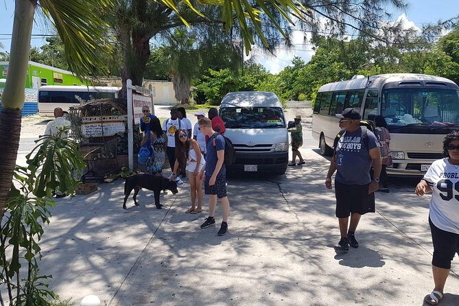 Scenic Island Private Tour - An In-Depth Look at the Scenic Island Private Tour