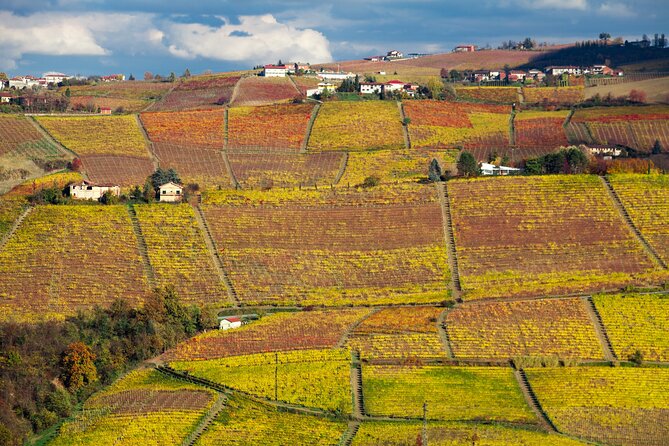Scenic Langhe Hike and Wine Tasting From Alba  - Langhe-Roero and Monferrato - Scenic Vistas and Wines