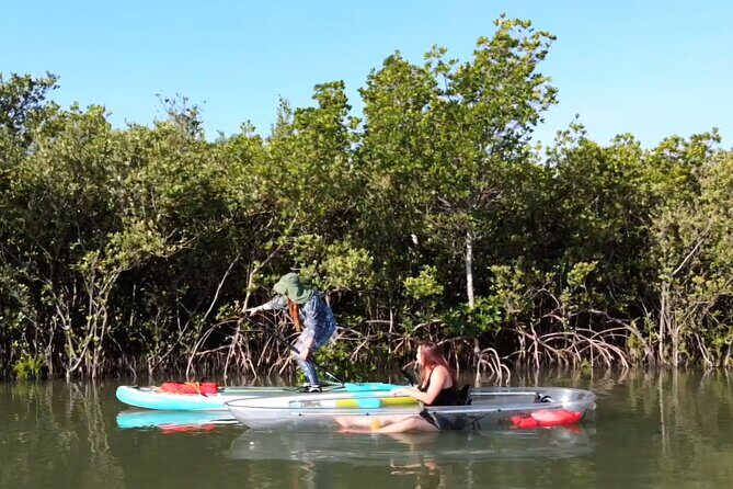 Scenic Mangrove Tunnel Paddle Tour  New Smyrna Beach - The Value of the Experience