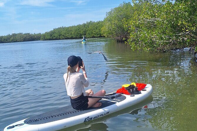 Scenic Mangrove Tunnel Paddle Tour  New Smyrna Beach - FAQ: Your Questions Answered