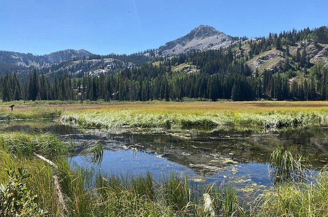 Scenic Park City Tour via Big Cottonwood Canyon - Who Would Enjoy This Tour?