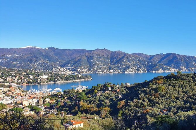 Scenic Private Hiking Tour From Portofino to S. Fruttuoso - Meeting Point and Pickup