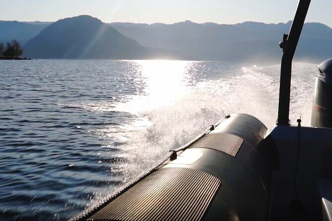 Scenic RIB adventure to Hardangerfjord & Fyksesund from Øystese - Final Thoughts: Who Will Love This?