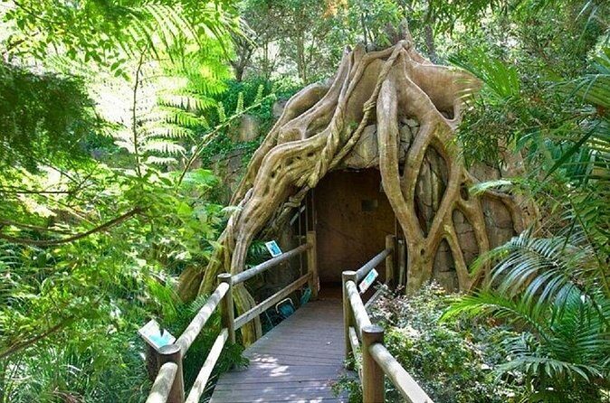 Scenic Rim Explorer - Who Should Consider This Tour?