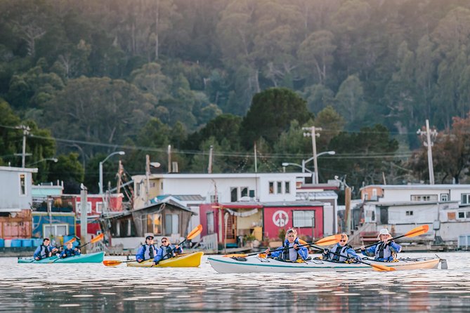 Scenic Sausalito Kayak Tour: Beginners Welcome - Good To Know