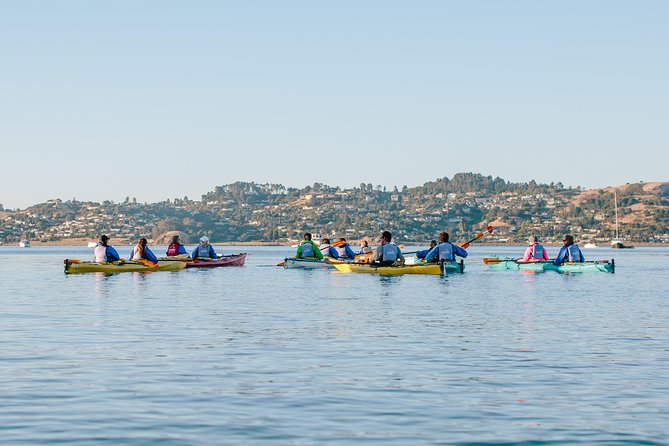 Scenic Sausalito Kayak Tour: Beginners Welcome - Meeting and Pickup