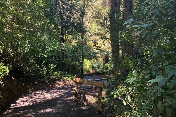 Scenic Short Hike Tour - Papamoa Hills and McLaren Falls - Final Thoughts on Value and Experience