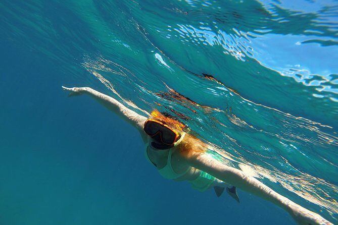 Scenic Speed-Boat Snorkel Tour - What to Expect from the Scenic Speed-Boat Snorkel Tour