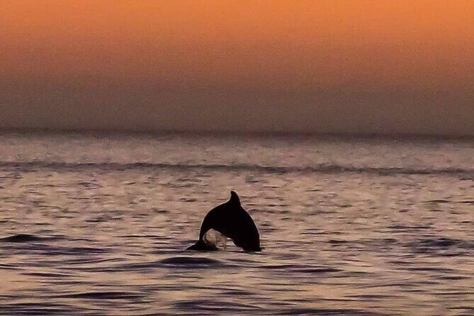 Scenic Sunset Cruise from Historic Johns Pass, Free Beer and Wine - Discover the Scenic Sunset Cruise from Historic Johns Pass