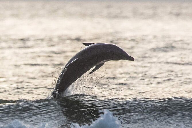 Scenic Sunset Cruise from Historic Johns Pass, Free Beer and Wine - An In-Depth Look at the Trip