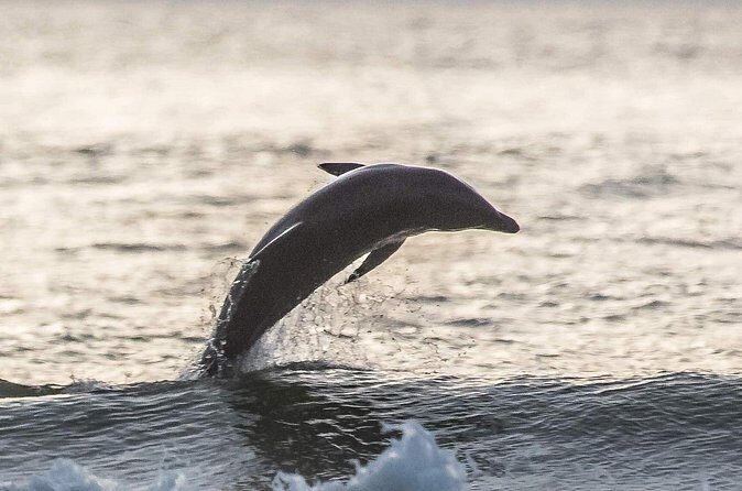 Scenic Sunset Cruise from Historic Johns Pass, Free Beer and Wine - The Bottom Line