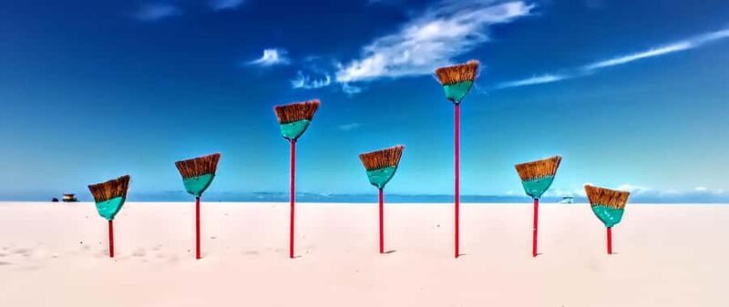 Scenic Wildlife Boat Cruise & Wine with a local Artist - The Experience in Detail: What You Can Expect