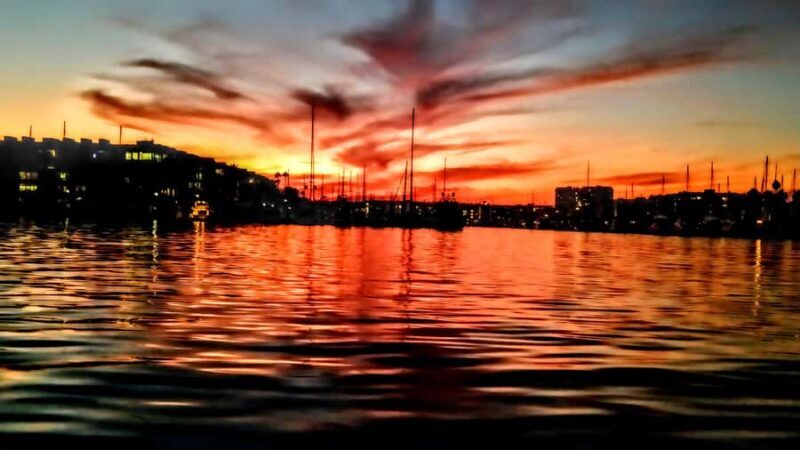 Scenic Wildlife Boat Cruise & Wine with a local Artist - Practical Details: The Fine Print