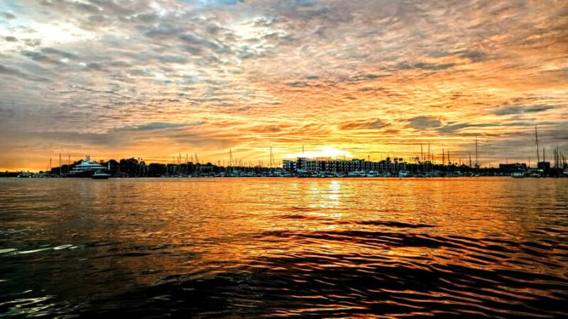 Scenic Wildlife Boat Cruise & Wine with a local Artist - FAQ