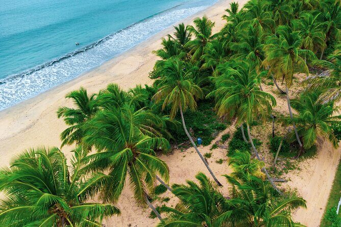 Scenic Wonders: Montaña Redonda & Playa Esmeralda - Exploring the Itinerary