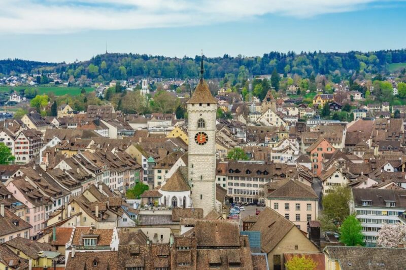 Schaffhausen: Express Walk With a Local in 60 Minutes - Discovering the Majestic Rhine Falls