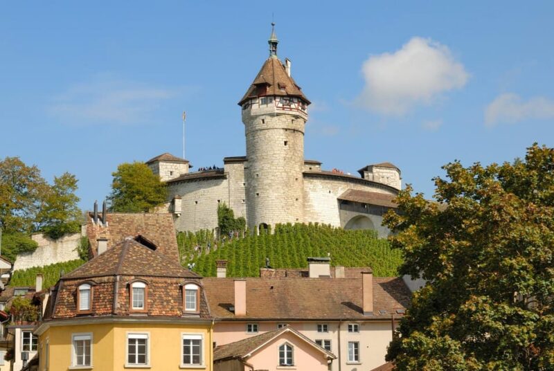 Schaffhausen: Express Walk With a Local in 60 Minutes - Practical Details for the Schaffhausen Express Walk