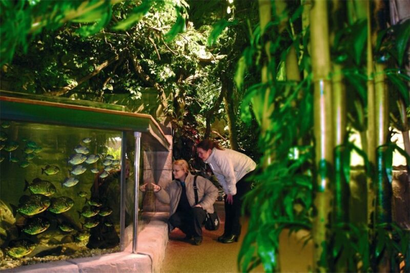 Scheveningen, The Hague: Sea Life Entry Ticket - Good To Know