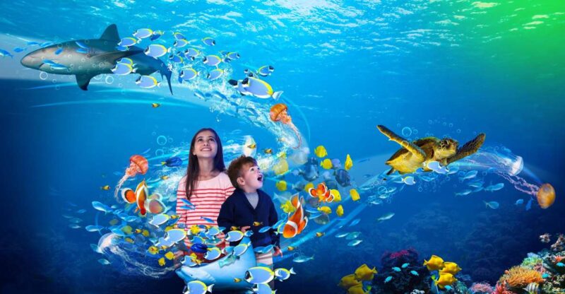 Scheveningen, The Hague: Sea Life Entry Ticket - Meet the Marine Life