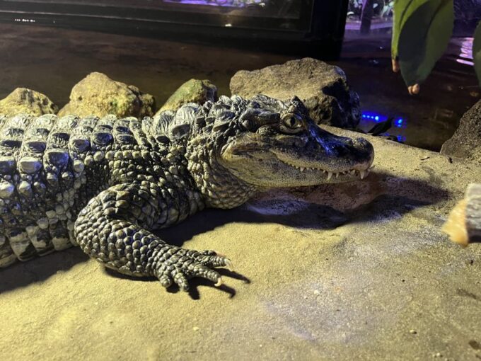 Scheveningen, The Hague: Sea Life Entry Ticket - Frequently Asked Questions