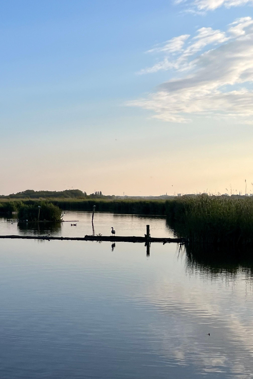 Schipluiden: Private Boat Tour to Rotterdam - Who Should Consider This Tour?