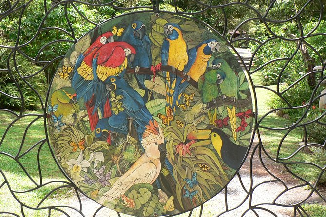 Schumanns BOTANICAL PARK TOUR - Highlights and Notable Comments