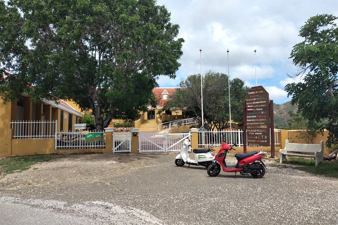 Scooter Rental - Good To Know