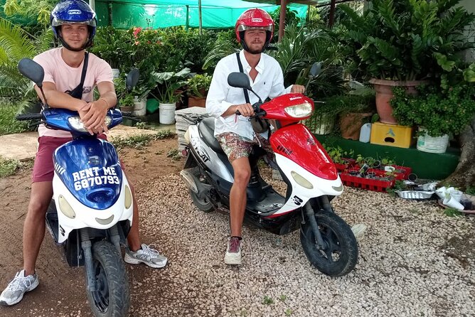 Scooter Rental - Customer Reviews and Feedback