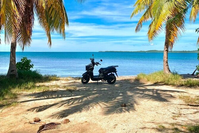Scooter Rental San Juan Puerto Rico - The Sum Up: Is This Tour Right for You?